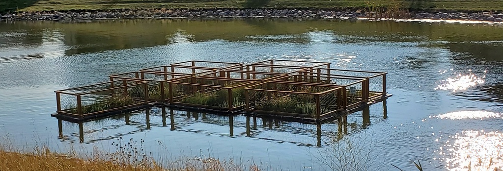 Floating Islands with Bird Fencing Lethbridge AB, phyto-remediation